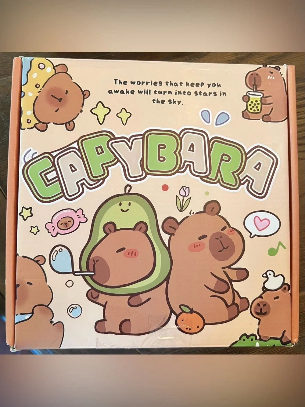 Capybara Kids Stationary  Box -   Notepads, pens, Stamps, stickers etc